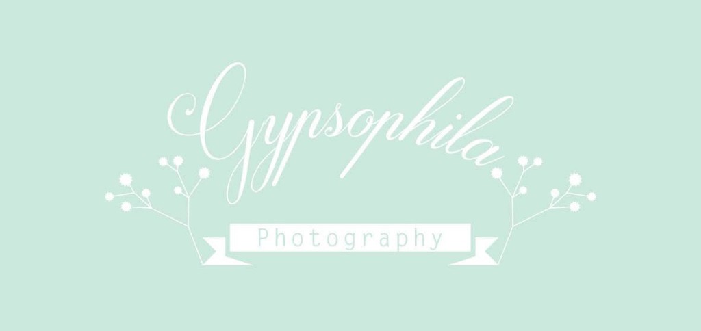 Gypsophila Photography 滿天星攝影